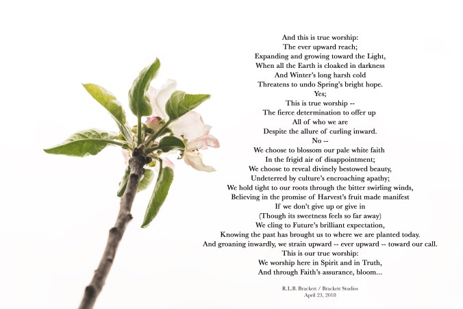 Spring Poem_RLBBrackett2