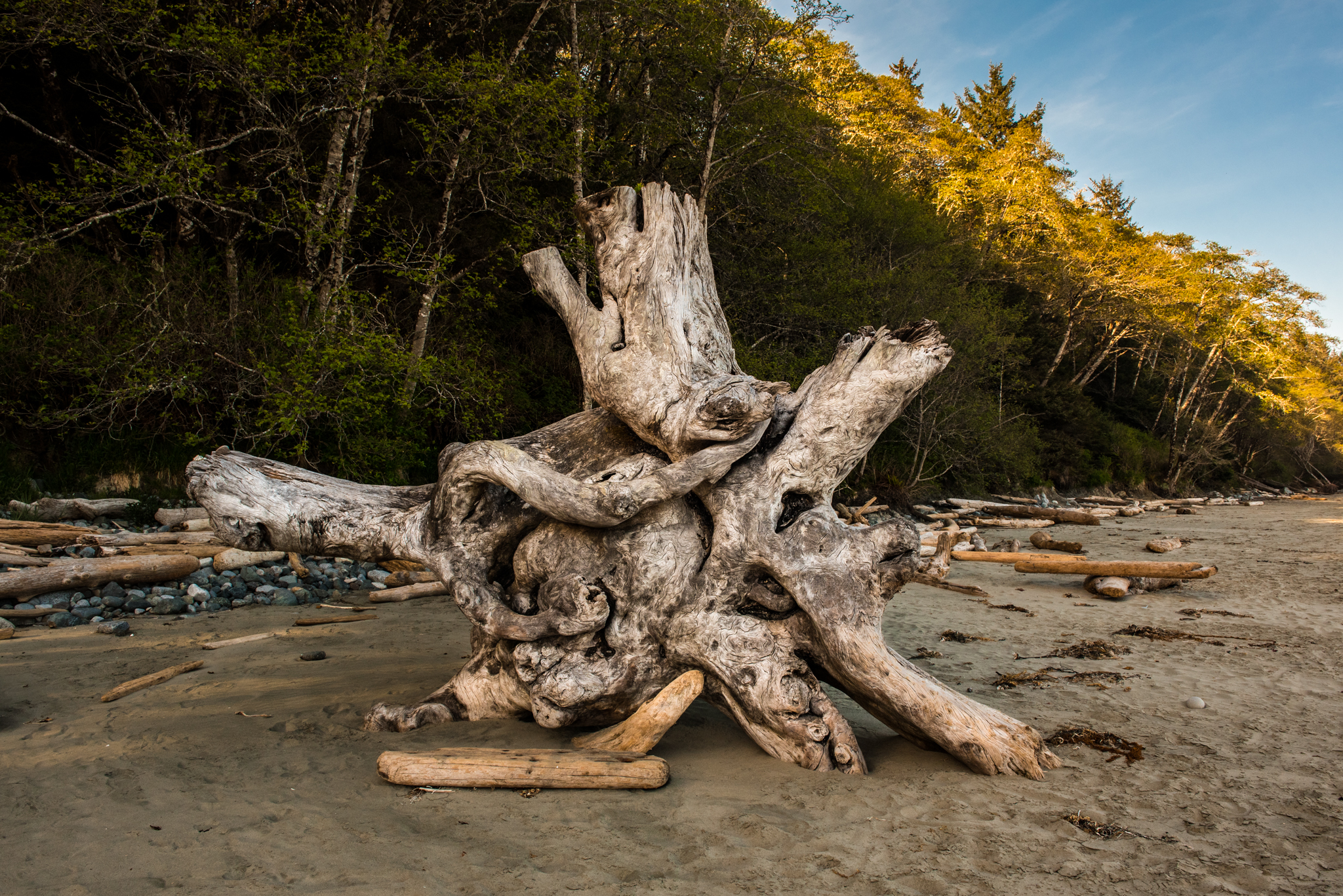 "Driftwood IV" | Brackett Studios